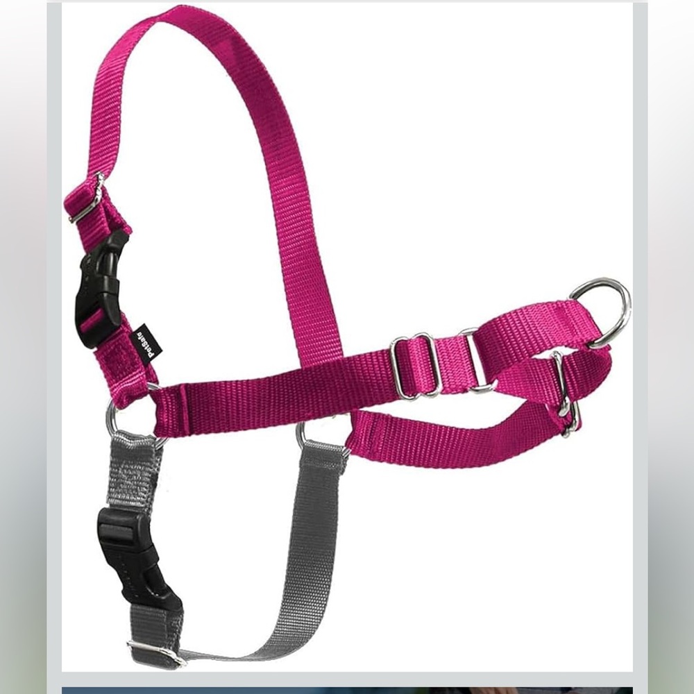 PetSafe Fuchsia and Gray Dog Harness easy walker pull free walk
